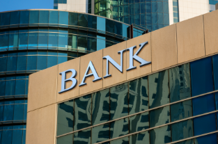 Banks and Financial Institutions Officials